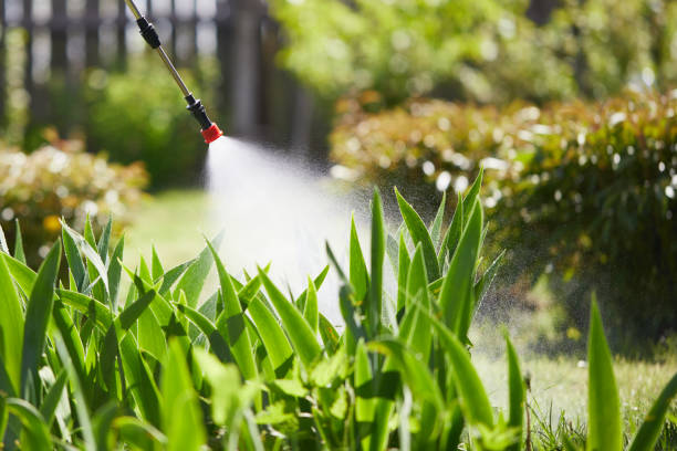 24/7 Emergency Fumigation Services experts in Mount Zion, IL