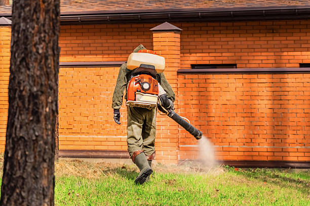 Trusted Rodent Control service in Mount Zion, IL - Nex Pest Control